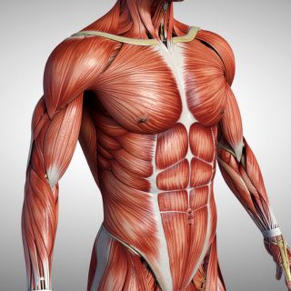 Sollievo localizzato e rapido